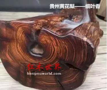 “贵州黄花梨”：海黄界的又一李鬼-1