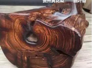 “贵州黄花梨”：海黄界的又一李鬼