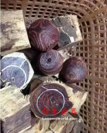 干货:海南黄花梨百科大辞典！-11