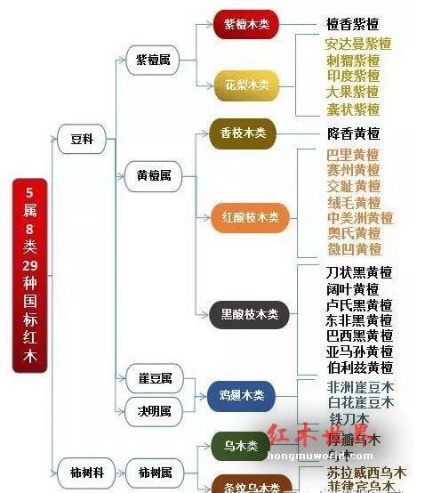 红木百科：大果紫檀（缅甸花梨）-10