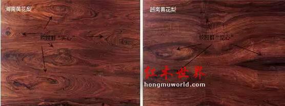 全面解析“黄花梨”-4