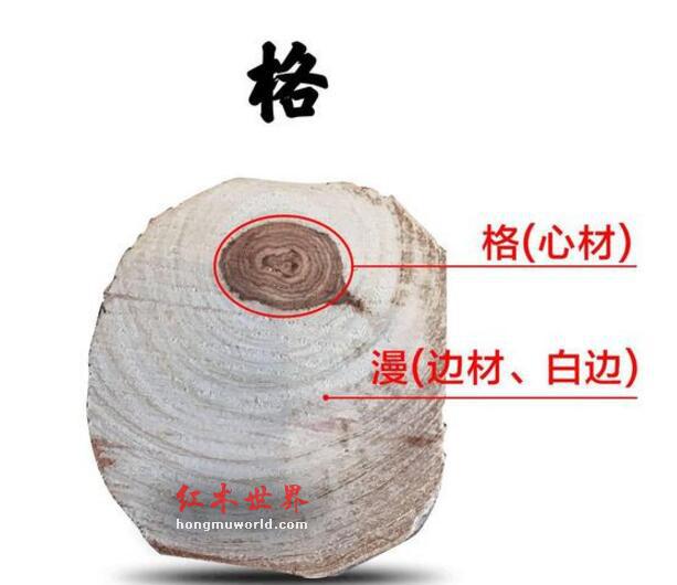 这些海黄名词，你知道几个？-3