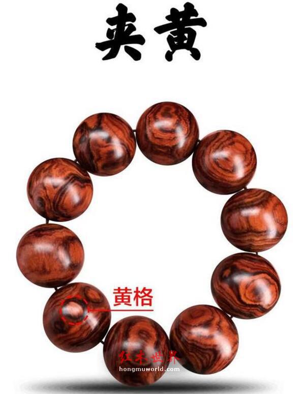 这些海黄名词，你知道几个？-20