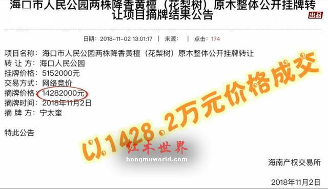 公园两棵黄花梨枯树拍卖出 1428 万 市民：以前都当烧柴-6